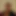 tinydicksub