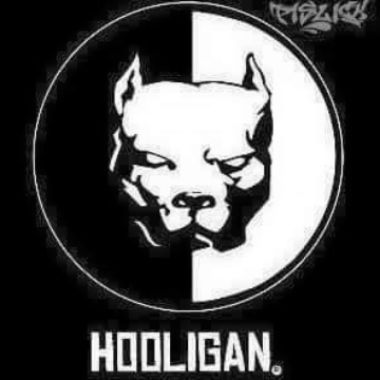 Hooligan_bjk