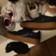 polfeetlvr