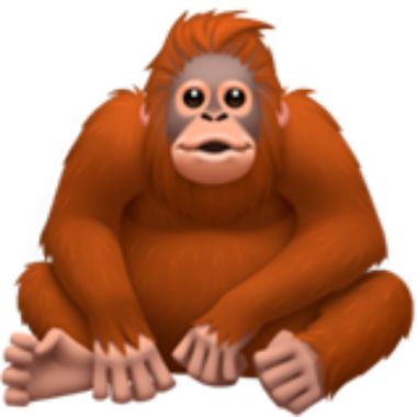 orangutanmanvan
