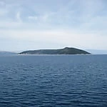 plavnik