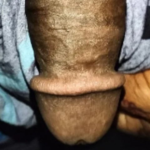 Riponsordar75