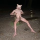 FlashJocks