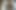 showdownist-