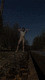 existinguser0987