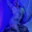 secretcd88