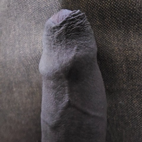 Mike Raj
