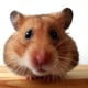 MOTHER29