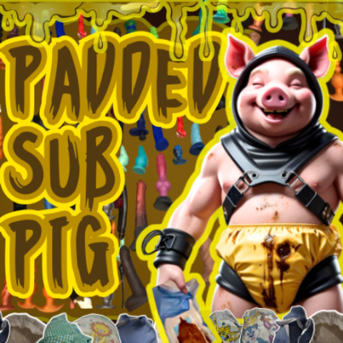 PaddedSubPig