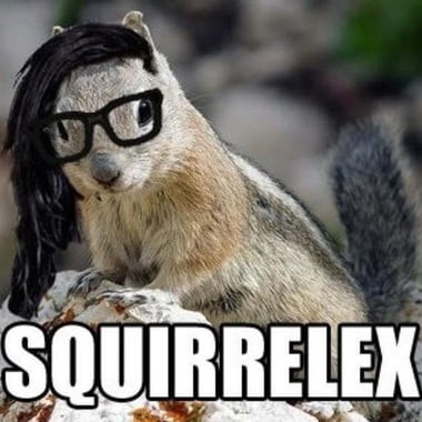 Squirellex