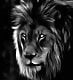 leon323