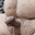 small--penis