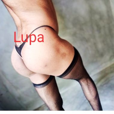 Lupa69