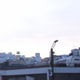 ryuji0926