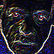 mopman1