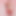 femdollpink