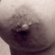wil85200