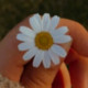 HappyNucleus