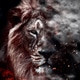 northhound84