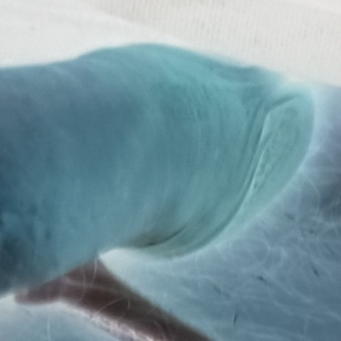 xypselonUnBefriedigt