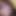 elsexo_890