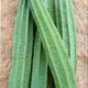 Goraipoli1
