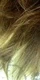 spk_jones