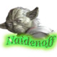 naidenoff