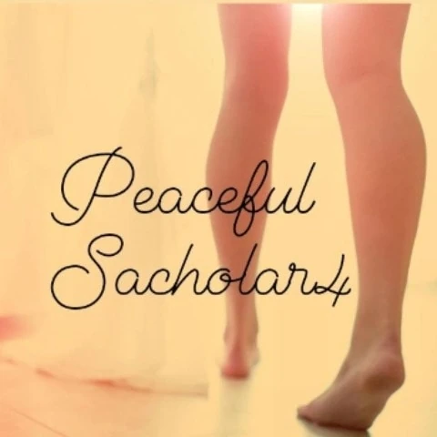 PeacefulScholar4