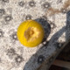 manishgajbhiye8