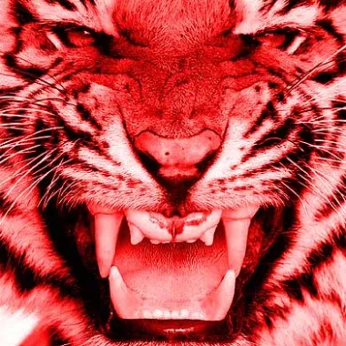 RedTiger9