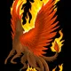 phoenixgriffon