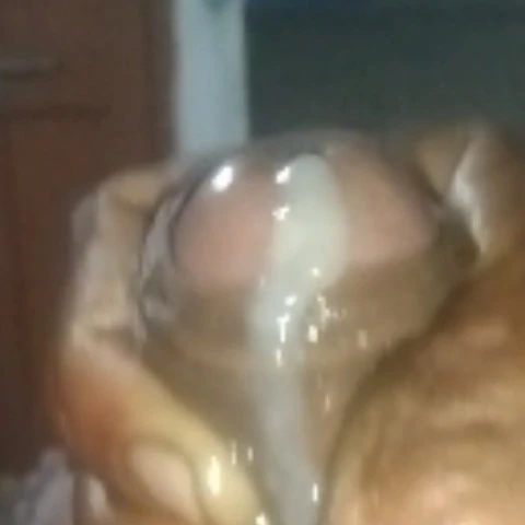 Husisnisn