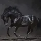 the-Horse