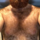 oggingerbear