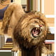 reyleon79