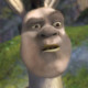evoguy28