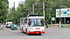 padluko