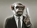 washmonkey