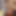 SylviaLatex