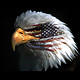michael_43