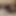 Sissycuckcrissy