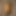 Onlysexsc