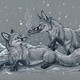 Silberfuchs96