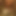 KingTut4421