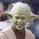 Yoda_Kotb