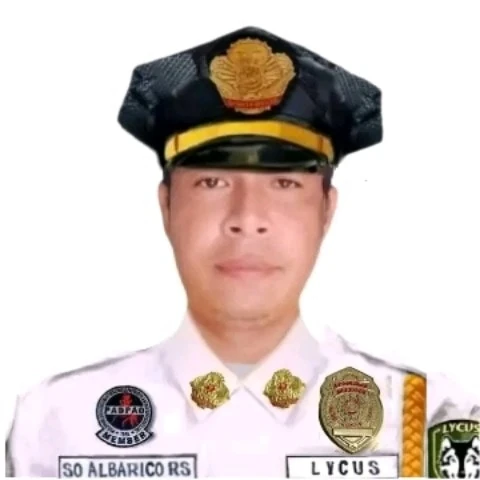 Ryanpoging