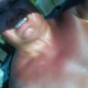 rambo6868