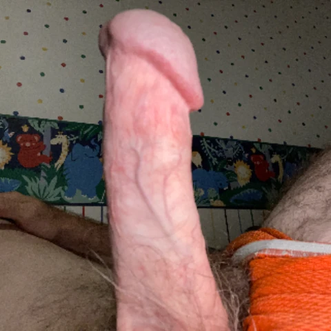 BigD6619
