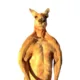 Lhrkangaroo